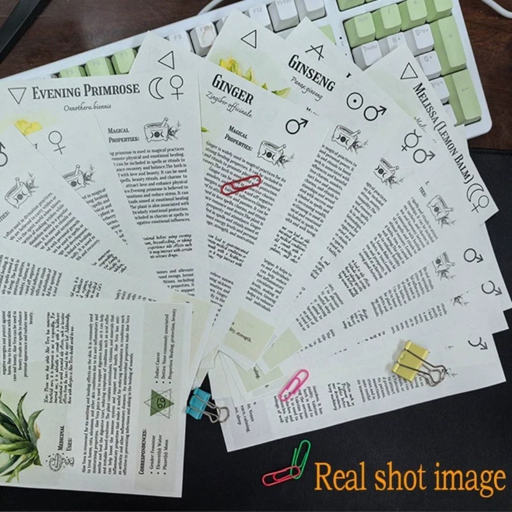 Livro de Receitas de Tinturas: - Herbal Wellness Guide avaliação e preço